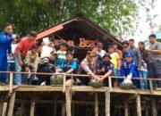 Pemuda Kreatif Membangun kampung Gelar Lomba Pecu sampan Season 4 di Sungai Siak