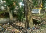 Sampah Menumpuk di Depan Kantor Lurah Tuah Karya, Warga Nilai Pemerintah Tutup Mata