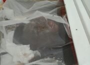 Kasus Kematian Antoni Tampubolon di Tapung Berlarut: BALAPATISIA Desak Polres Kampar & Polda Riau Ambil Alih!